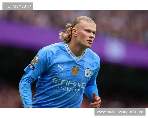 哈兰德终结效率持续稳定