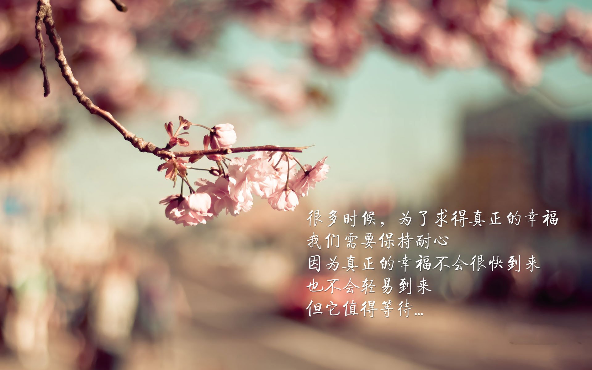 中超球队进攻效率分析,中超各球队支出